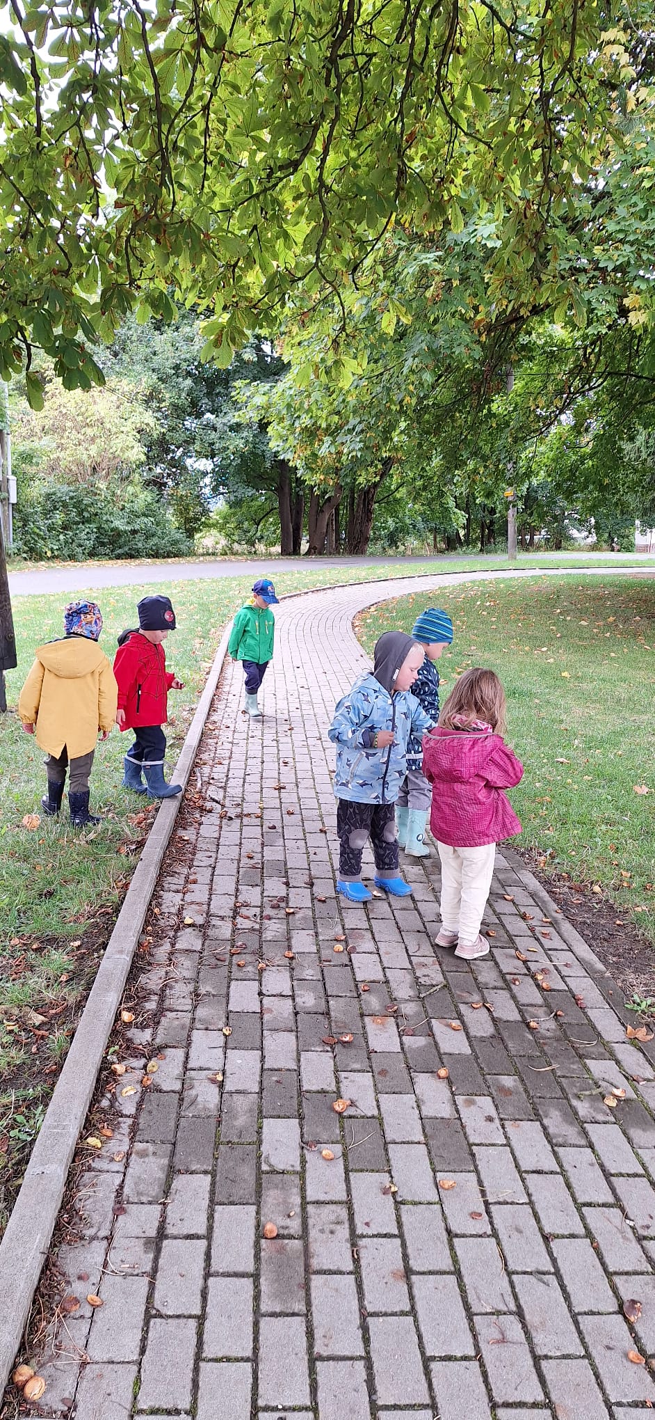 PHOTO-2026-01-11-12-16-15