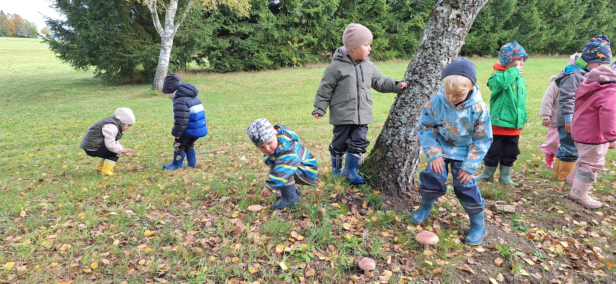 PHOTO-2026-01-11-12-16-16