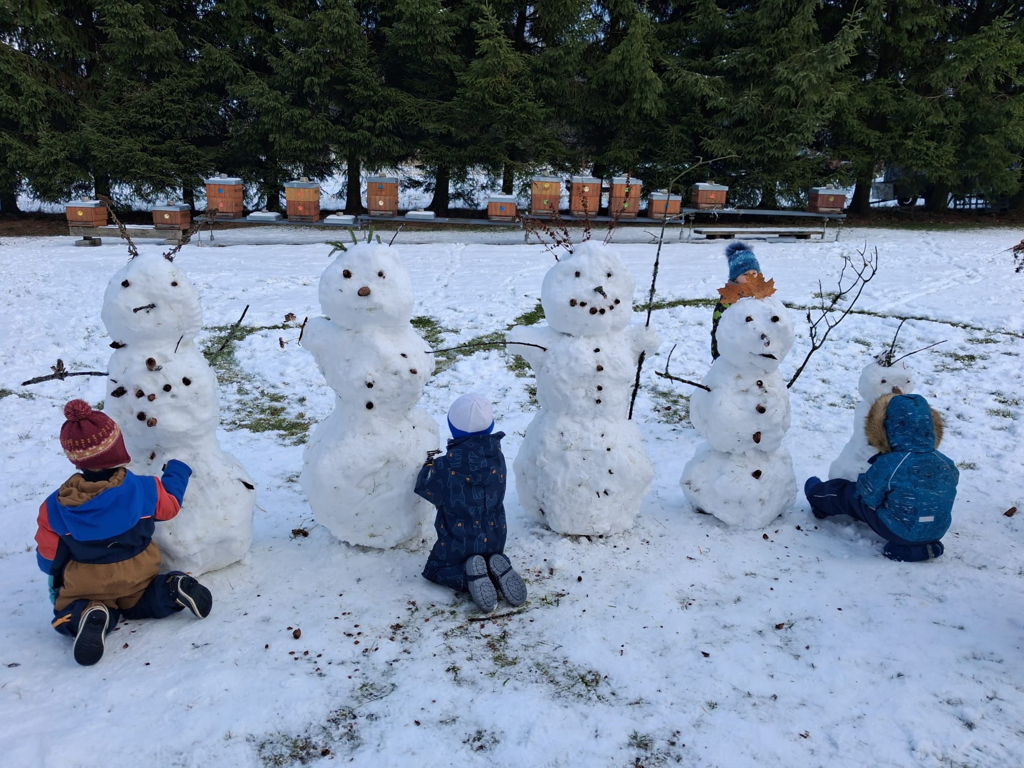 PHOTO-2026-01-11-12-16-18_5