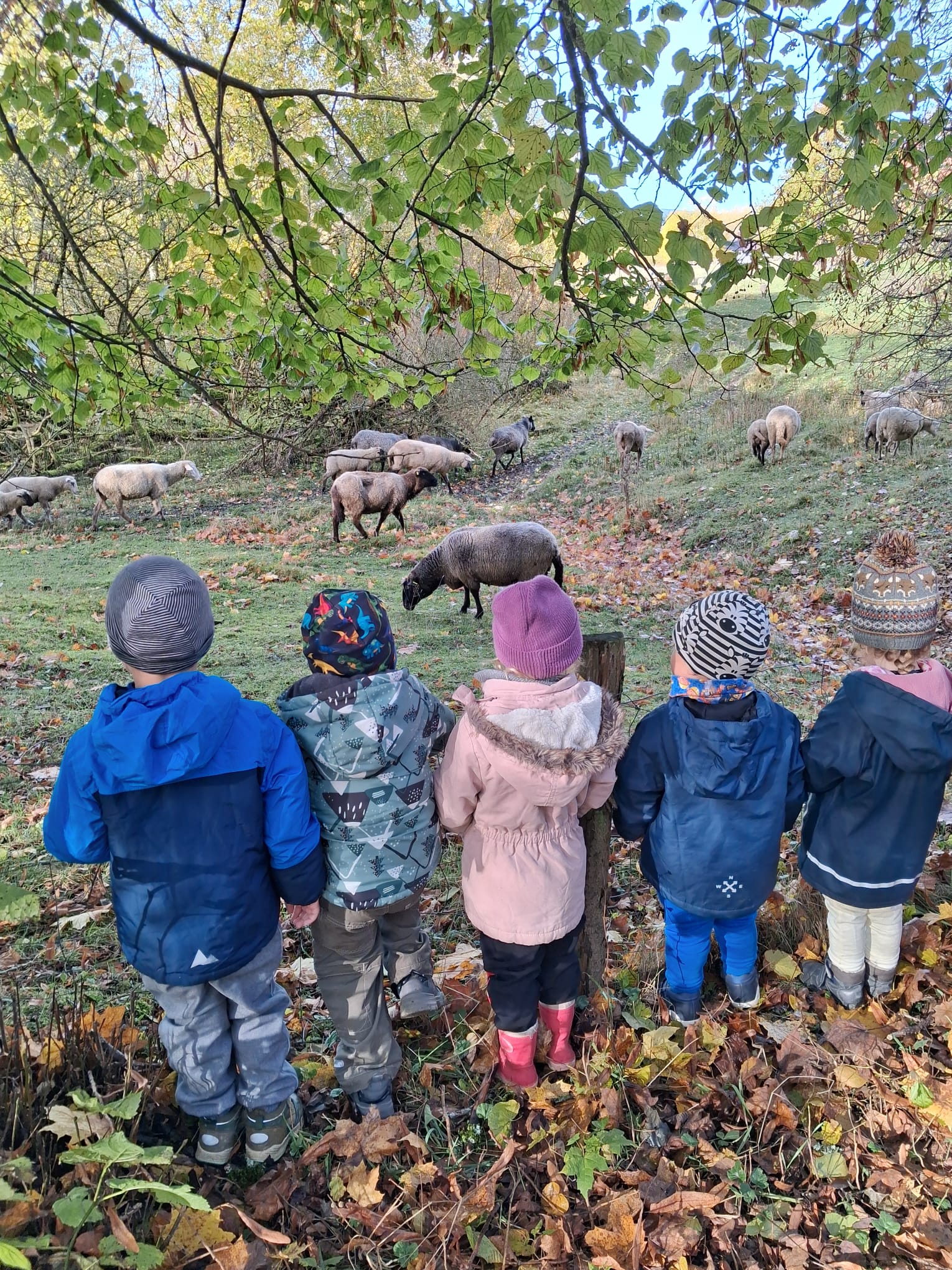 PHOTO-2026-01-11-12-16-18_7