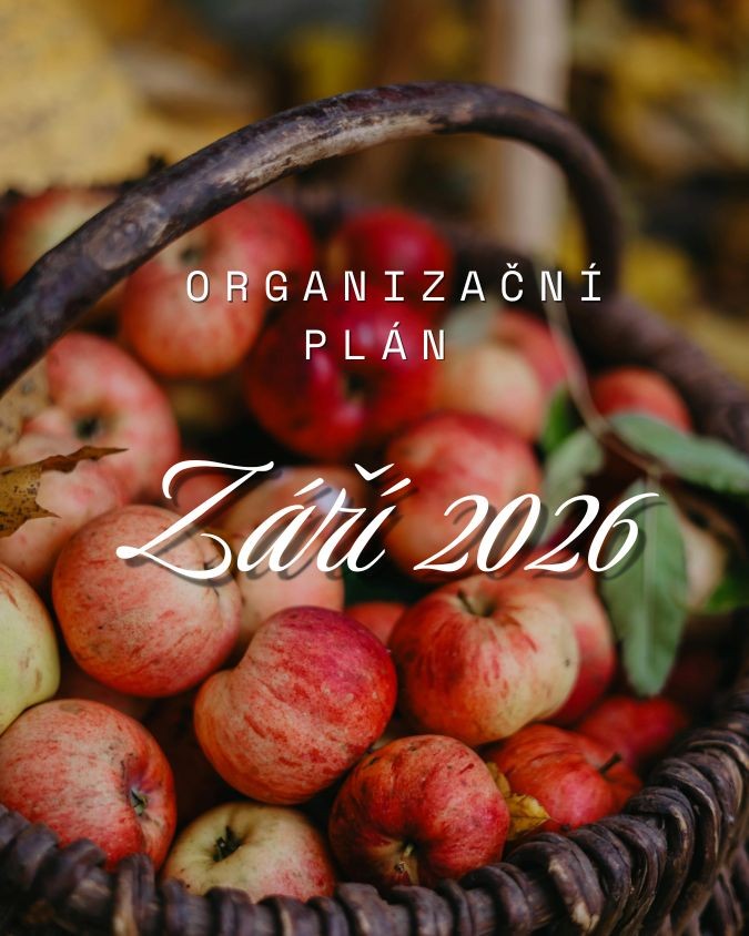 obr.plan-zari.jpg